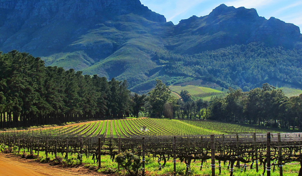 Cape Winelands
