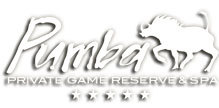 pumba-logo