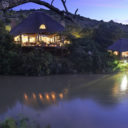 Shamwari Game Reserve