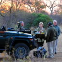 Thornybush