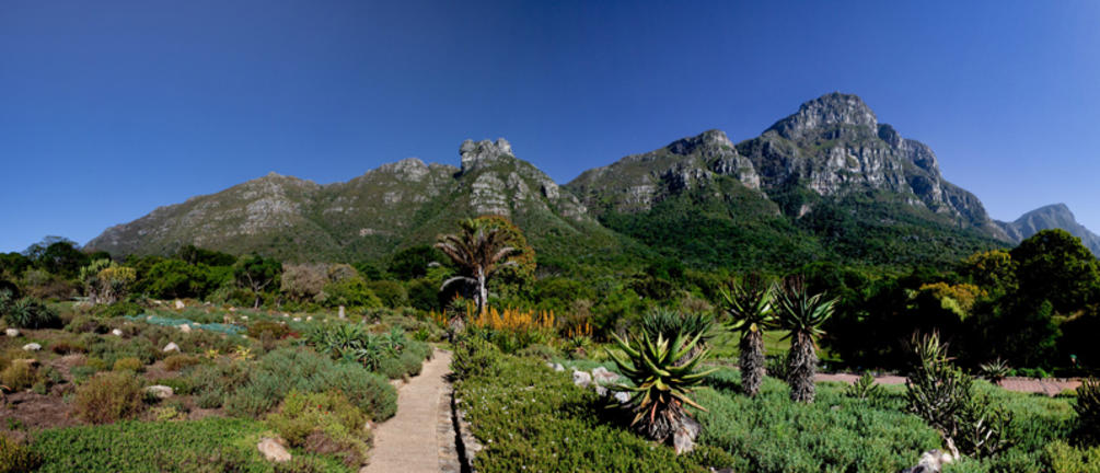 nxamubktxta