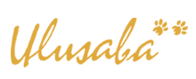 ulusabalogo