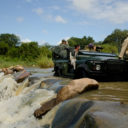 A Typical day on Safari