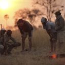 Sandibe Safari Lodge