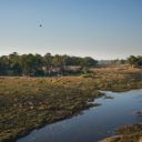 Belmond Eagle Island Camp