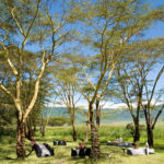Ngorongoro