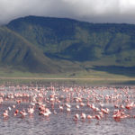 Ngorongoro