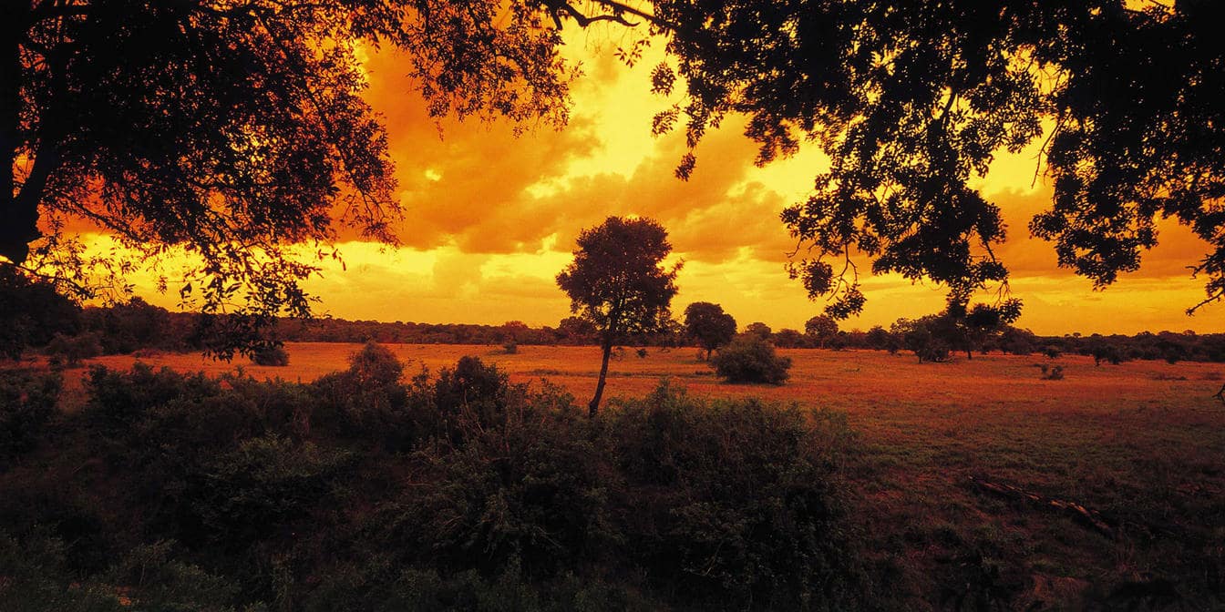 Sabi Sabi Selati Camp