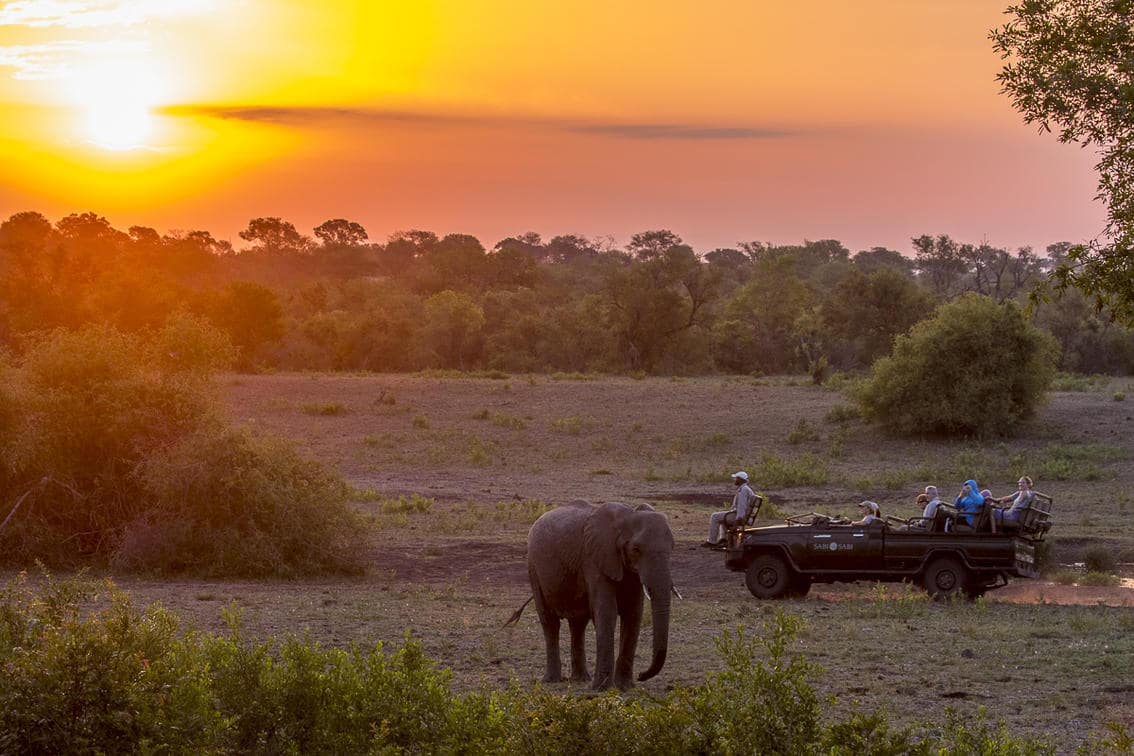 Sabi Sabi - safari