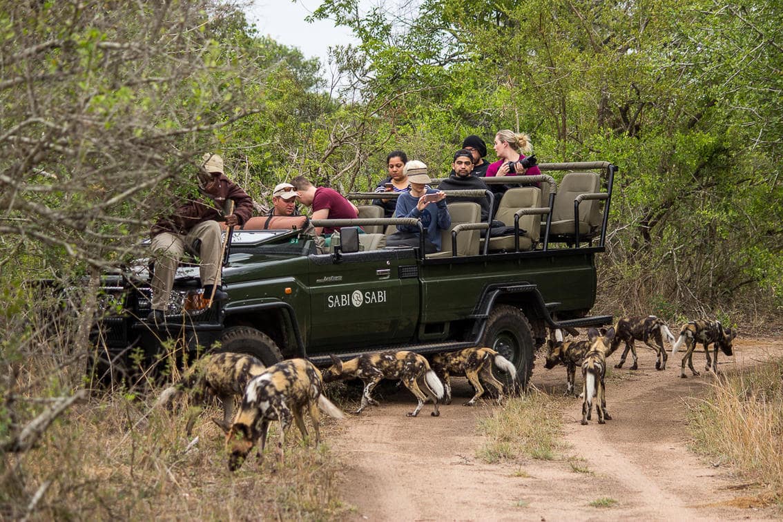 Sabi Sabi - safari