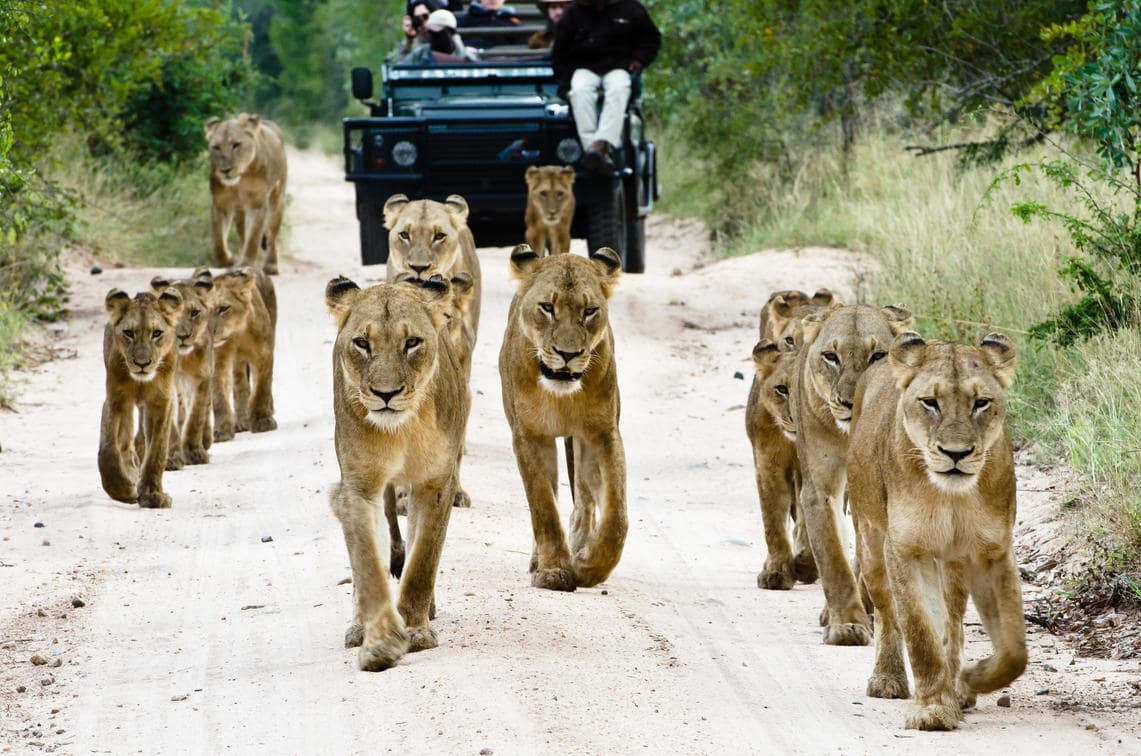Sabi Sabi Selati Camp