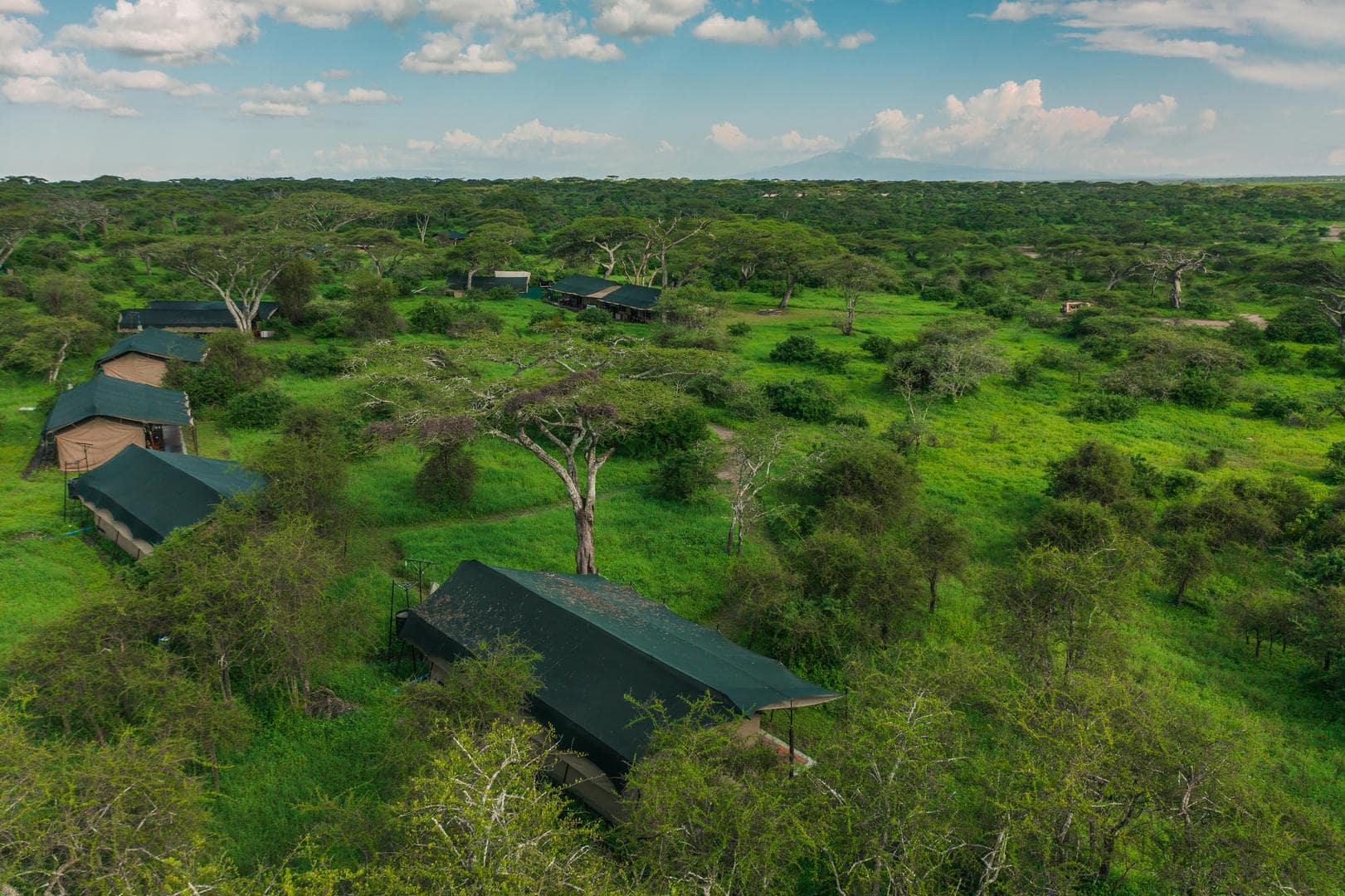 Lemala Mara