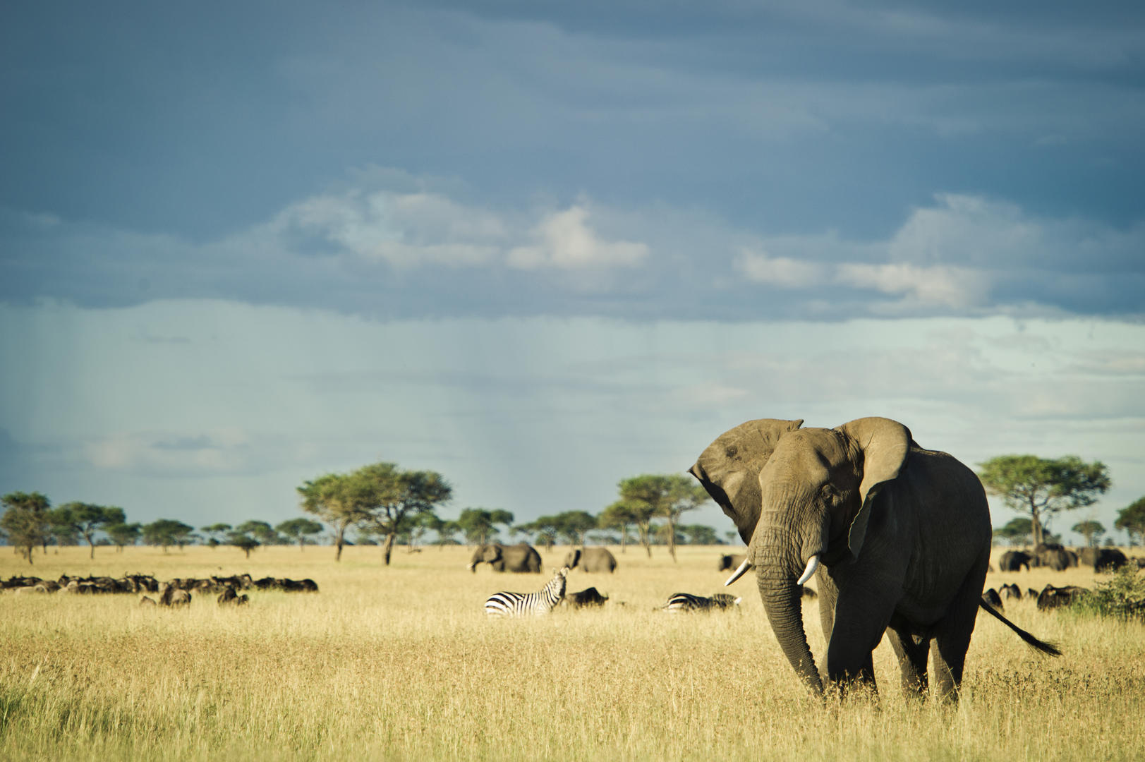 Serengeti National Park