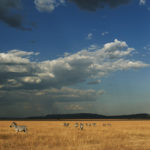 Serengeti National Park