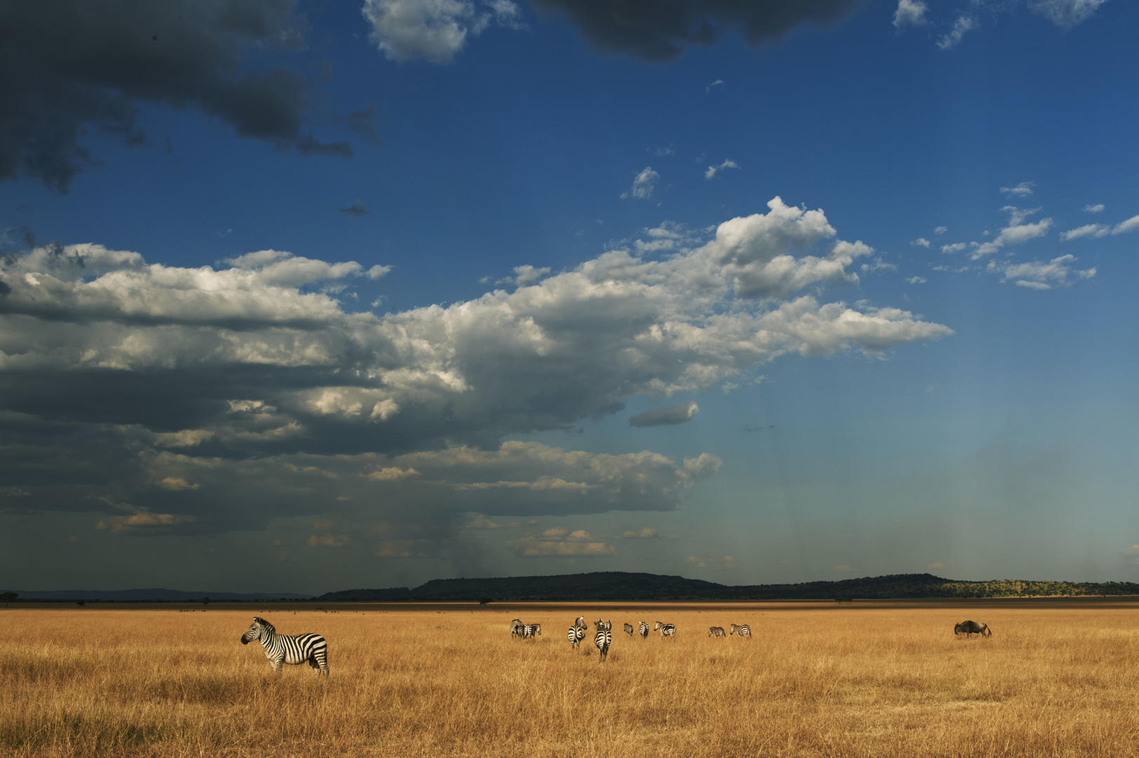 Serengeti National Park