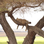 Tarangire National Park