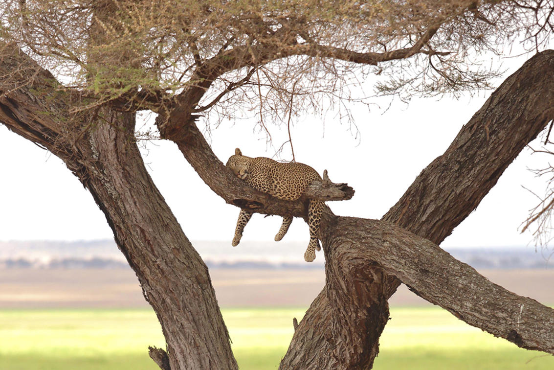 Tarangire National Park