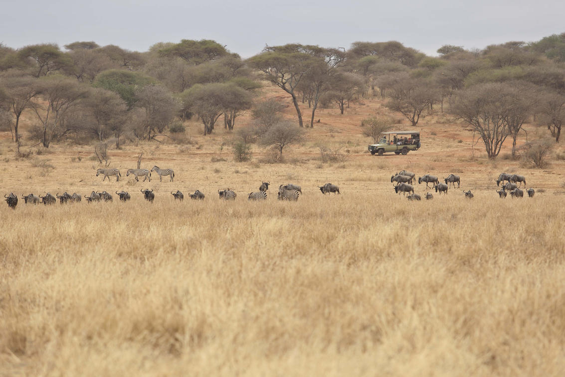 Tarangire National ParkTarangire National Park