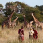 Tarangire National Park