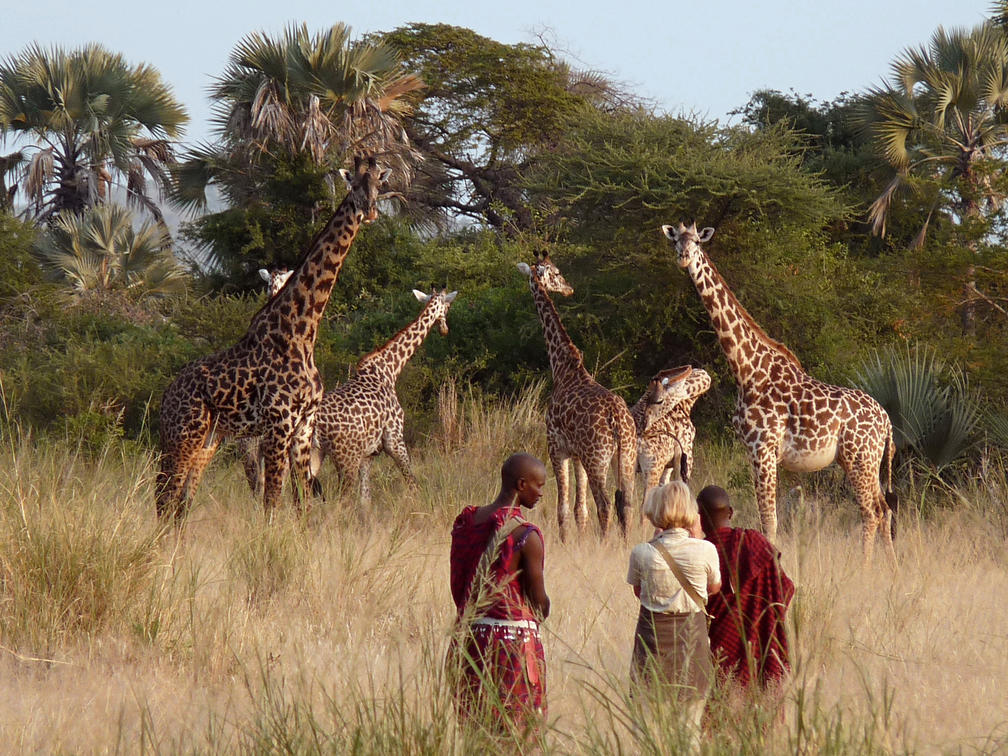 Tarangire National Park