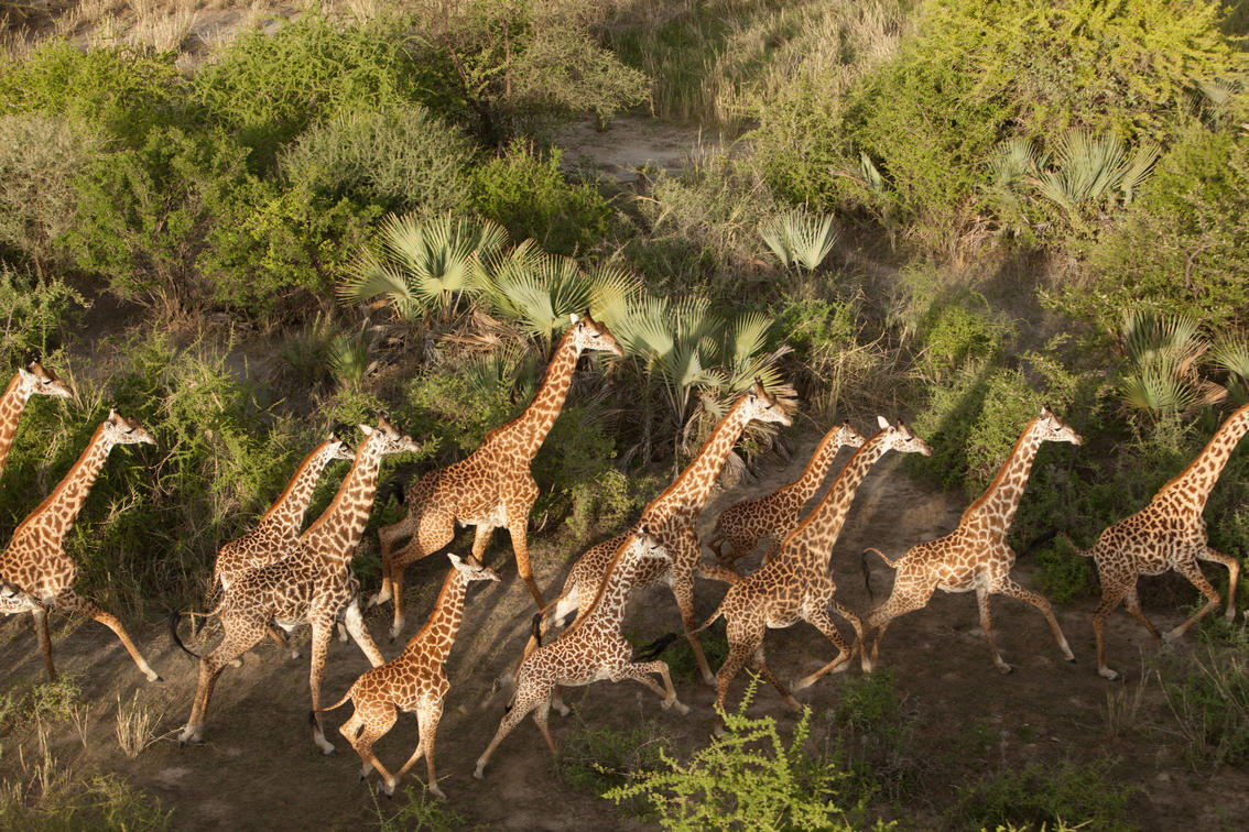 Tarangire National Park