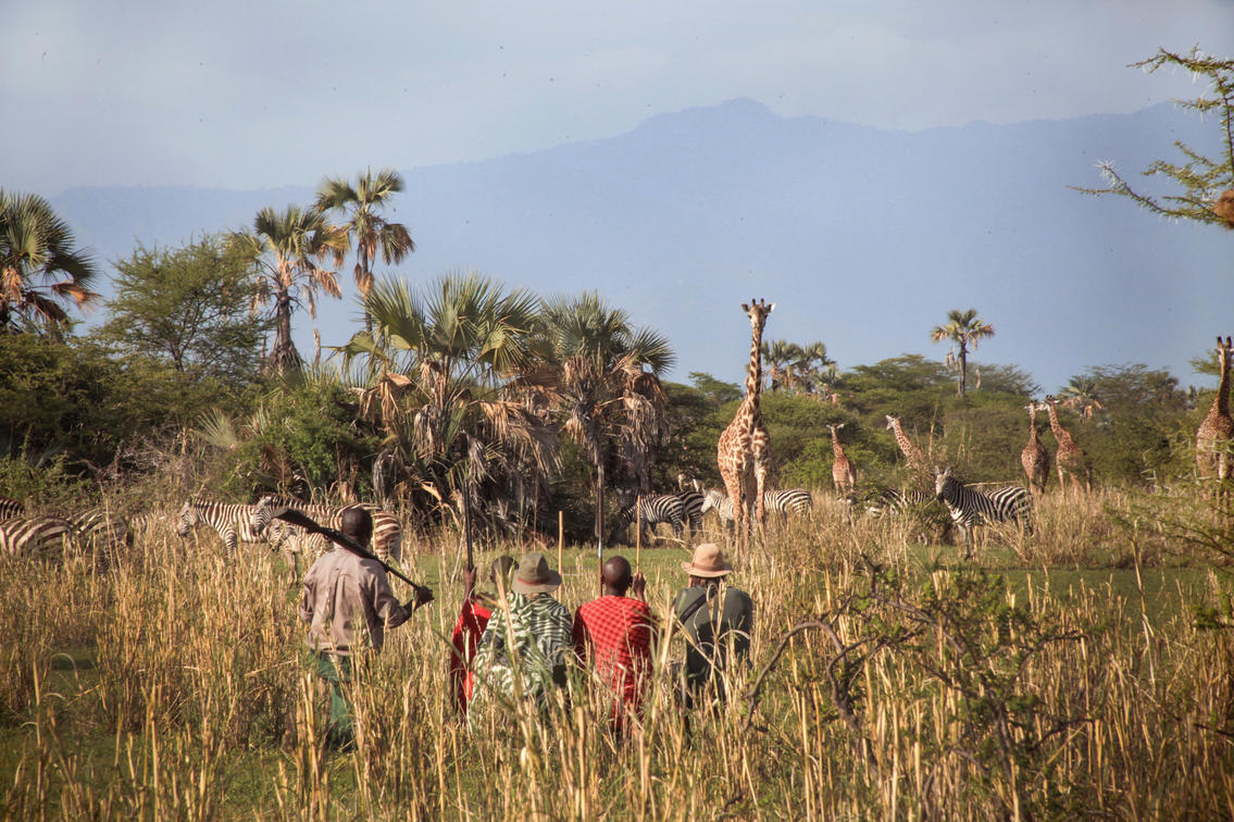 Tarangire National Park