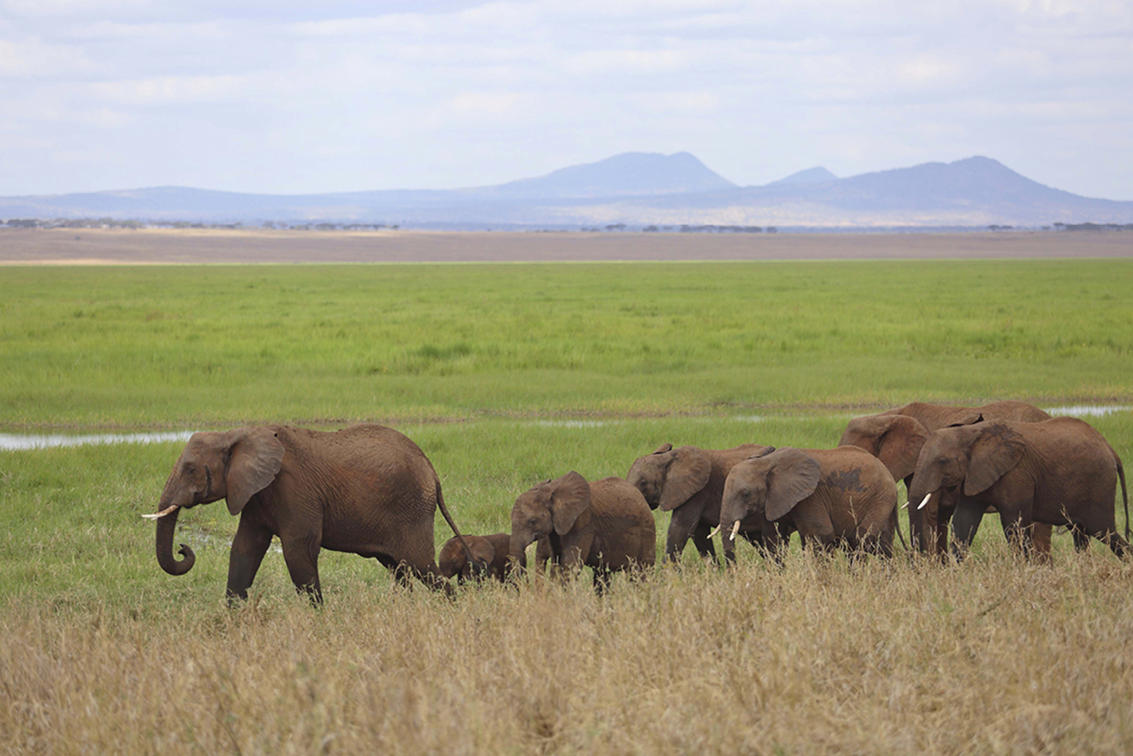 Tarangire National Park