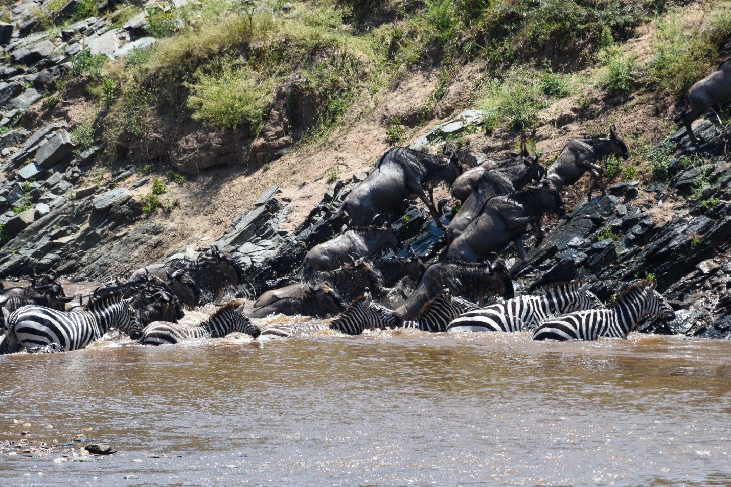 Rekero Camp by Asilia - Masai Mara