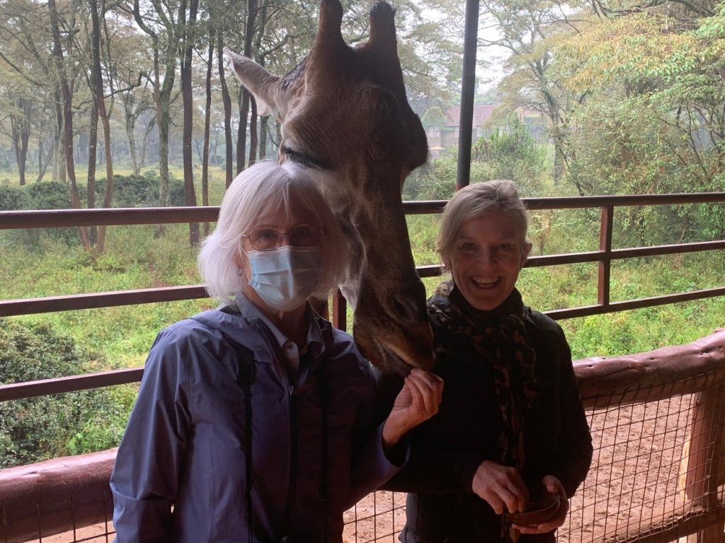 Giraffe Centre