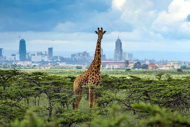 Nairobi National Park