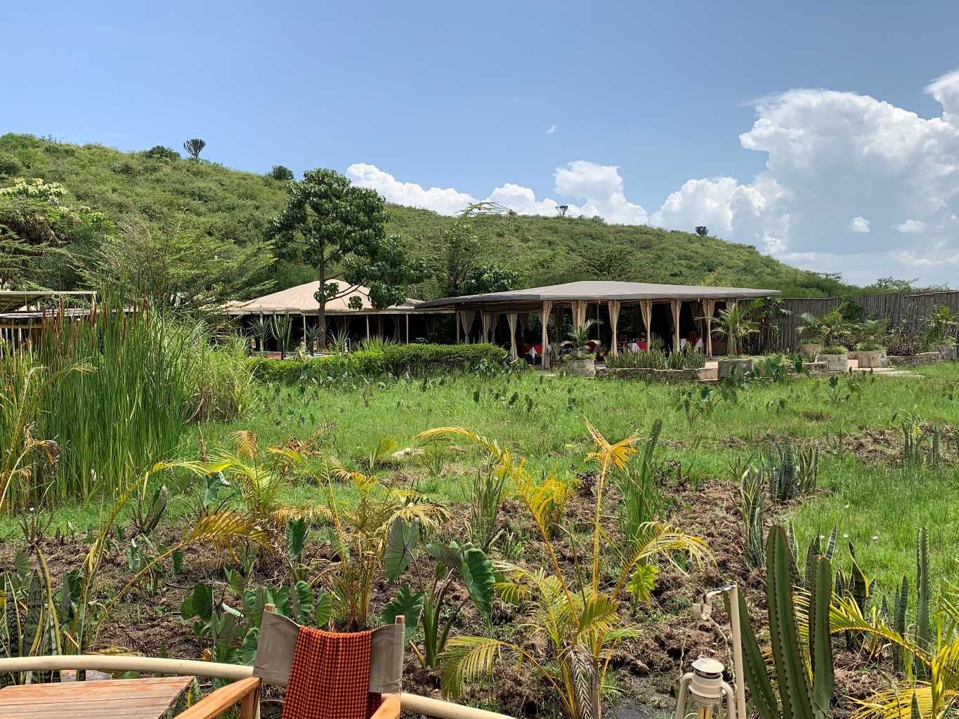 Zebra Plains Mara Camp