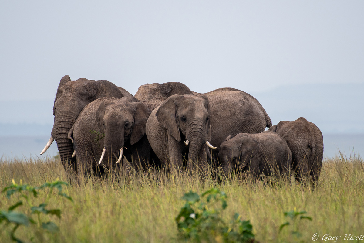 Kenya 2021 Adventures Africa