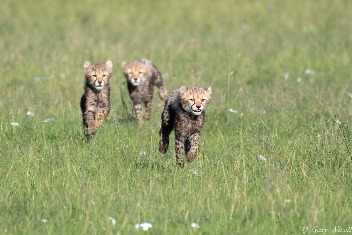 Kenya 2021 Adventures Africa