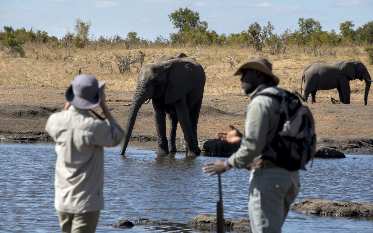 Somalisa Expeditions Adventures Africa
