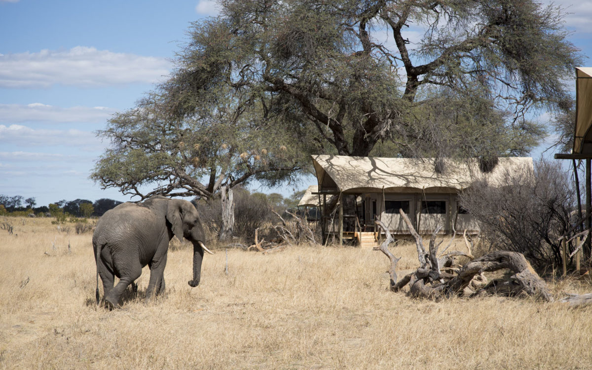 Somalisa Expeditions Adventures Africa