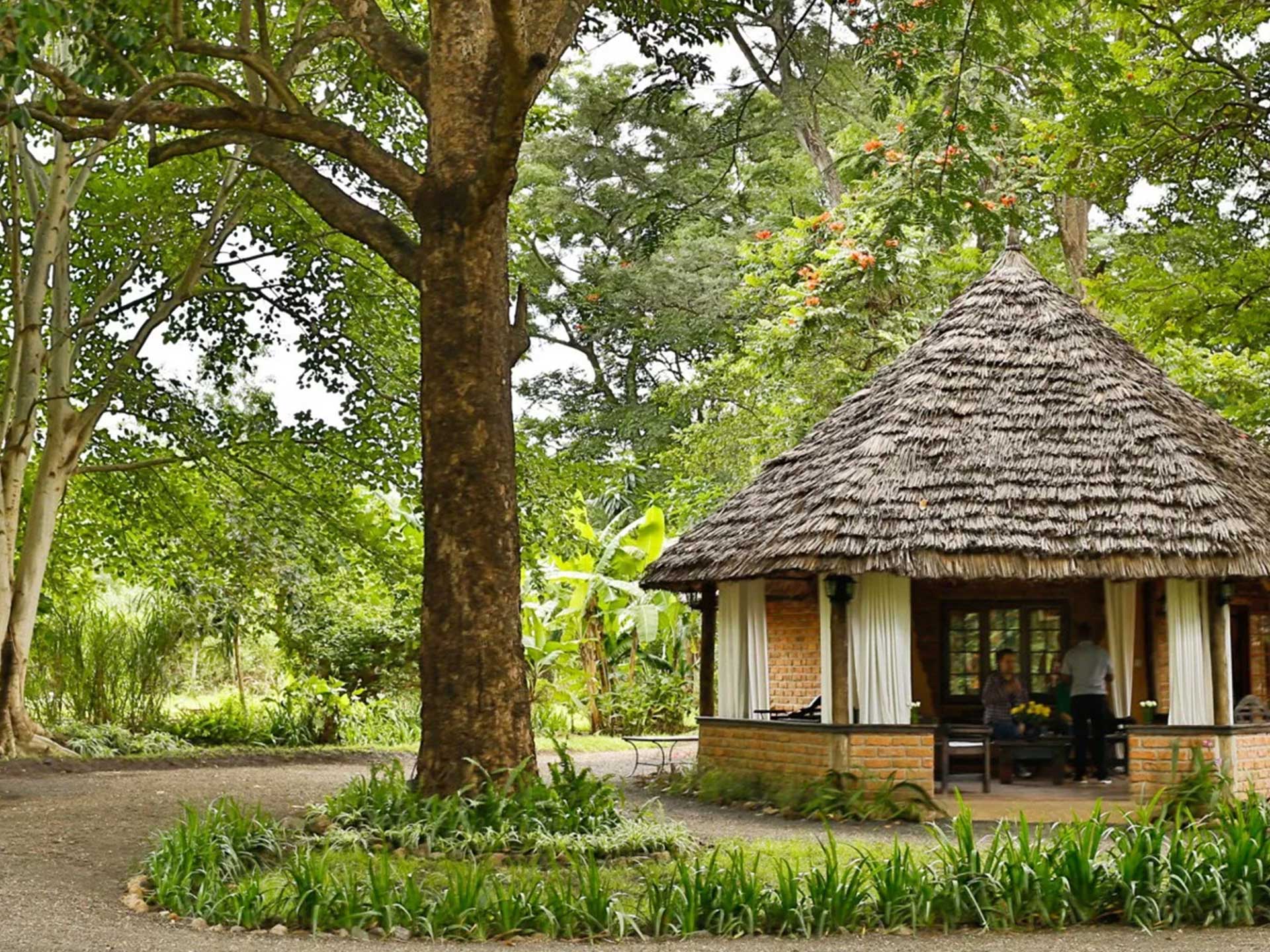 Rivertrees-Country-Inn-Tanzania-with-Adventures-Africa