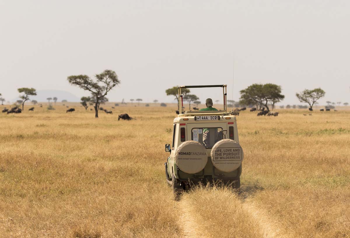 Tanzania-Northern-Circuit-with-Adventures-Africa