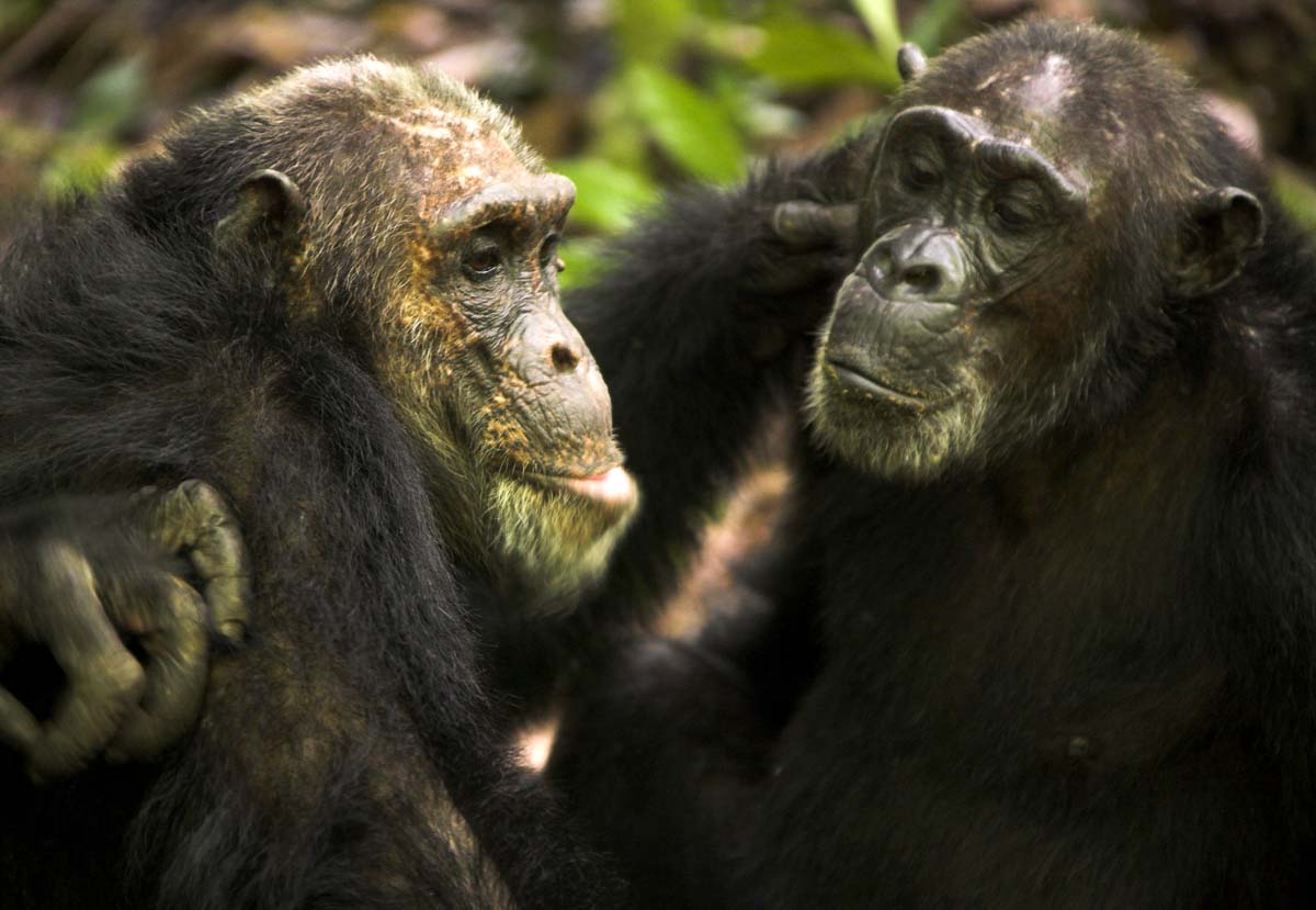 Tanzania-Northern-Circuit-with-Adventures-Africa