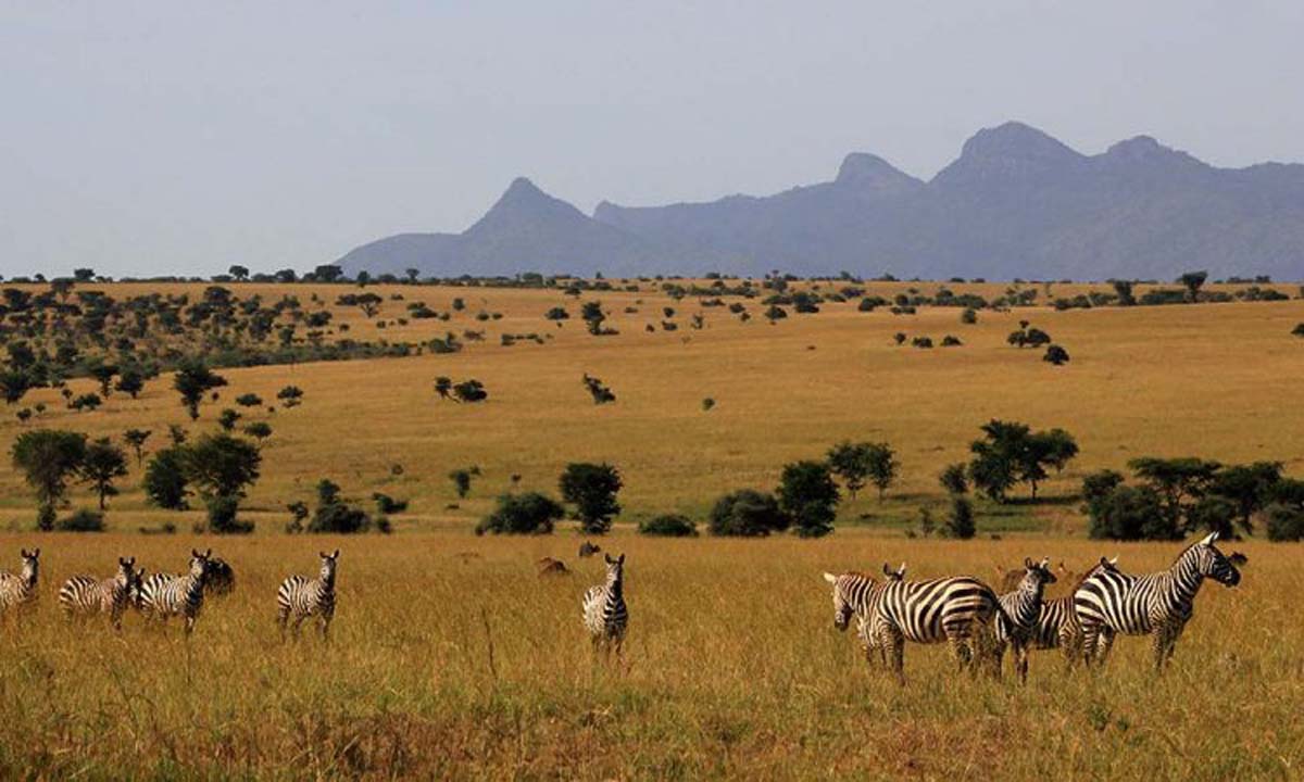 Uganda with Adventures Africa